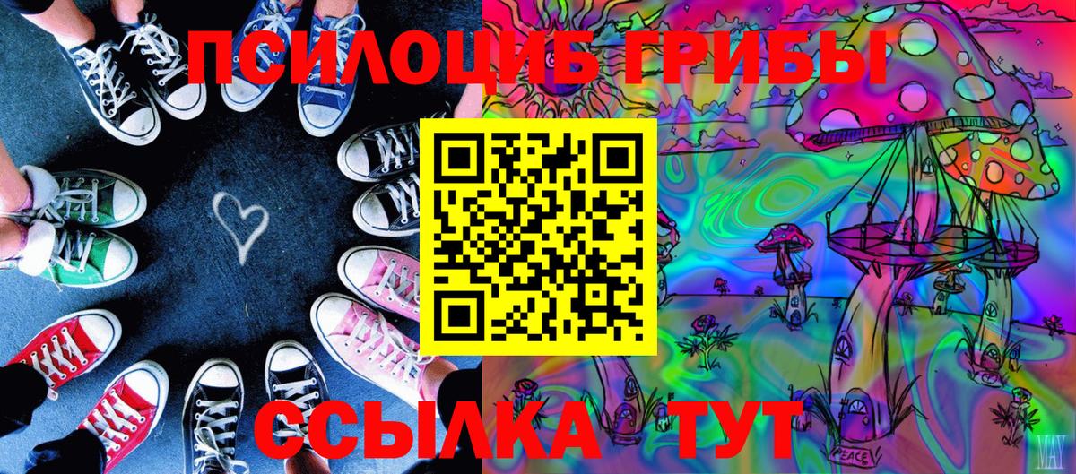 Псилоцибиновые грибы MAGIC MUSHROOMS  Галлюциногенные грибы мицелий  Буйнакск  Вход с VPN 